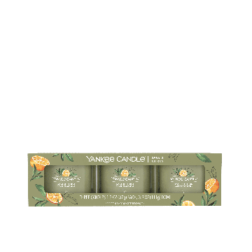Yankee Candle Set 3 Candele Votive Sage & Citrus