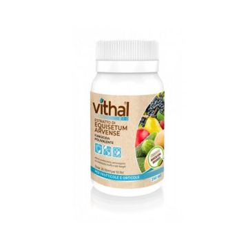 VITHAL - BIO EQUISETUM ARVENSE ML.250
