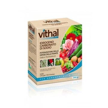 VITHAL - Idrogeno CARBONATO DI SODIO 350gr