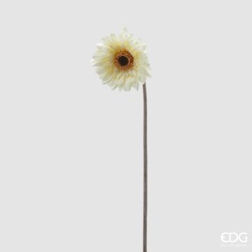 EDG - GERBERA REX bianco