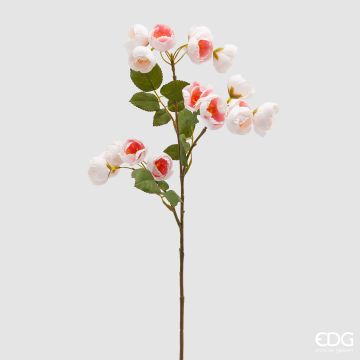 EDG - ROSA BLUSH rosa chiaro