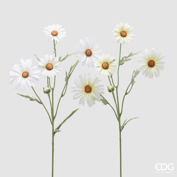 EDG - MARGHERITE
