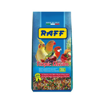 Raff Tropic Dream