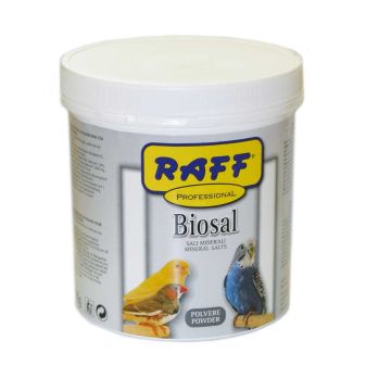 Raff Biosal polvere 1 Kg